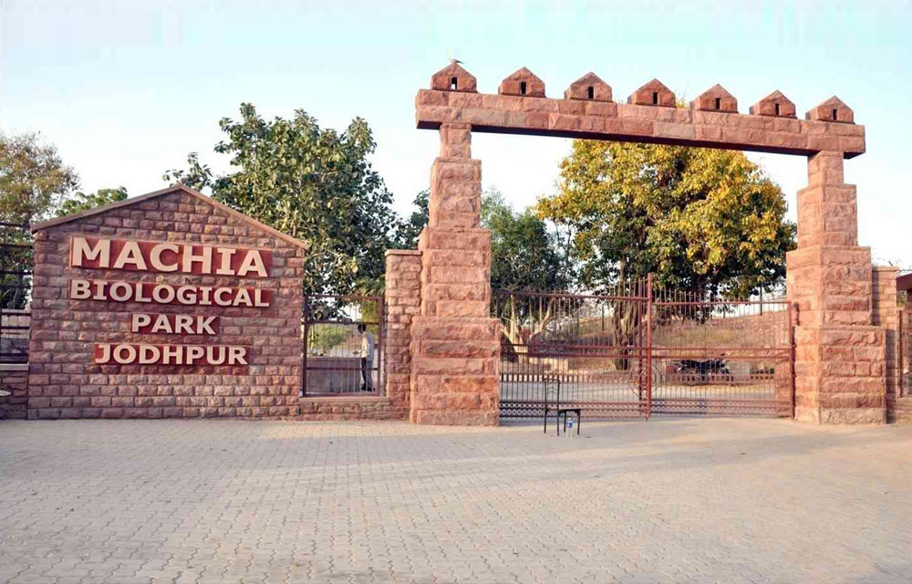 Luxurious Destination of Central India